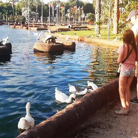 Adventure Harbour شقة *